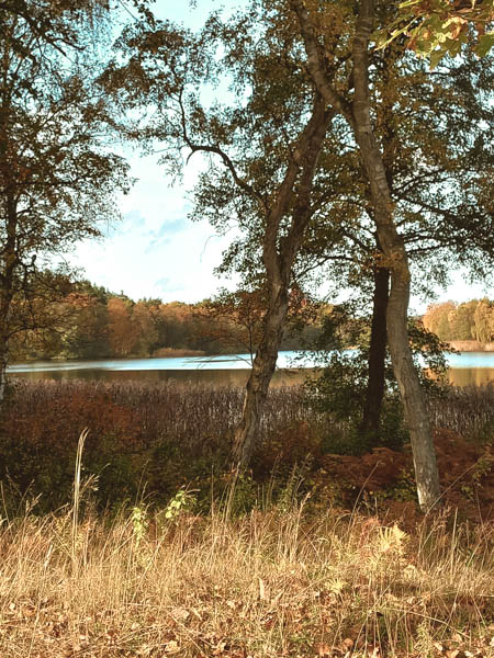 silkeborg seem