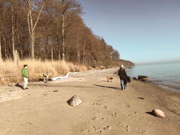 am strand in moesgaard