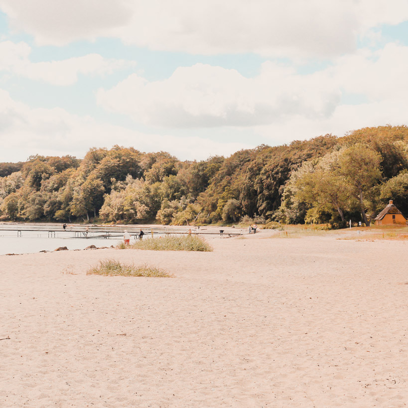 Moesgård Strand 
