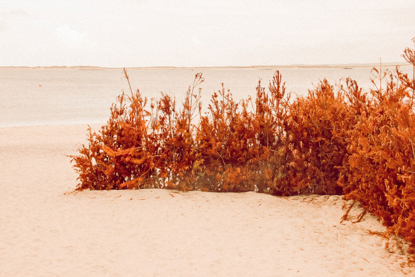 Thyborøn - Strand
