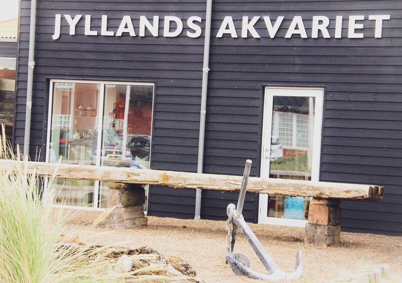 Thyborøn -Akvariet