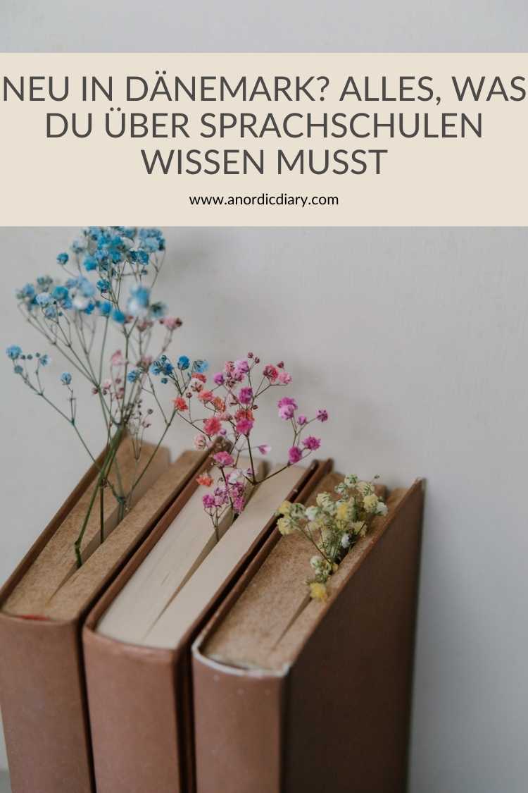 Neu in Dänemark? Alles, was du über dänische Sprachschulen wissen musst 2 dänischen Sprachschulen