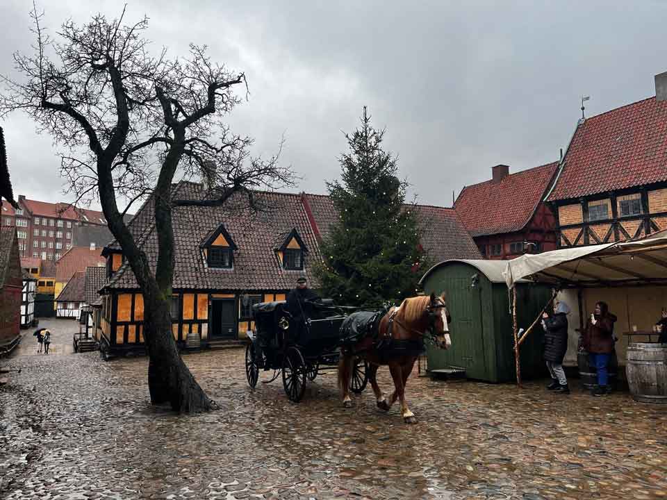 den gamle by web