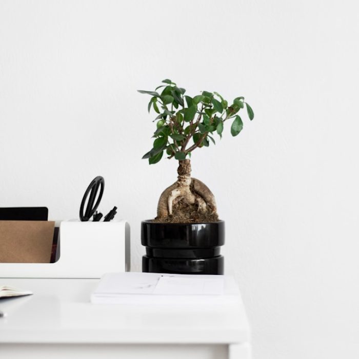 sarah-dorweiler-KcufLkTXYy4-unsplash