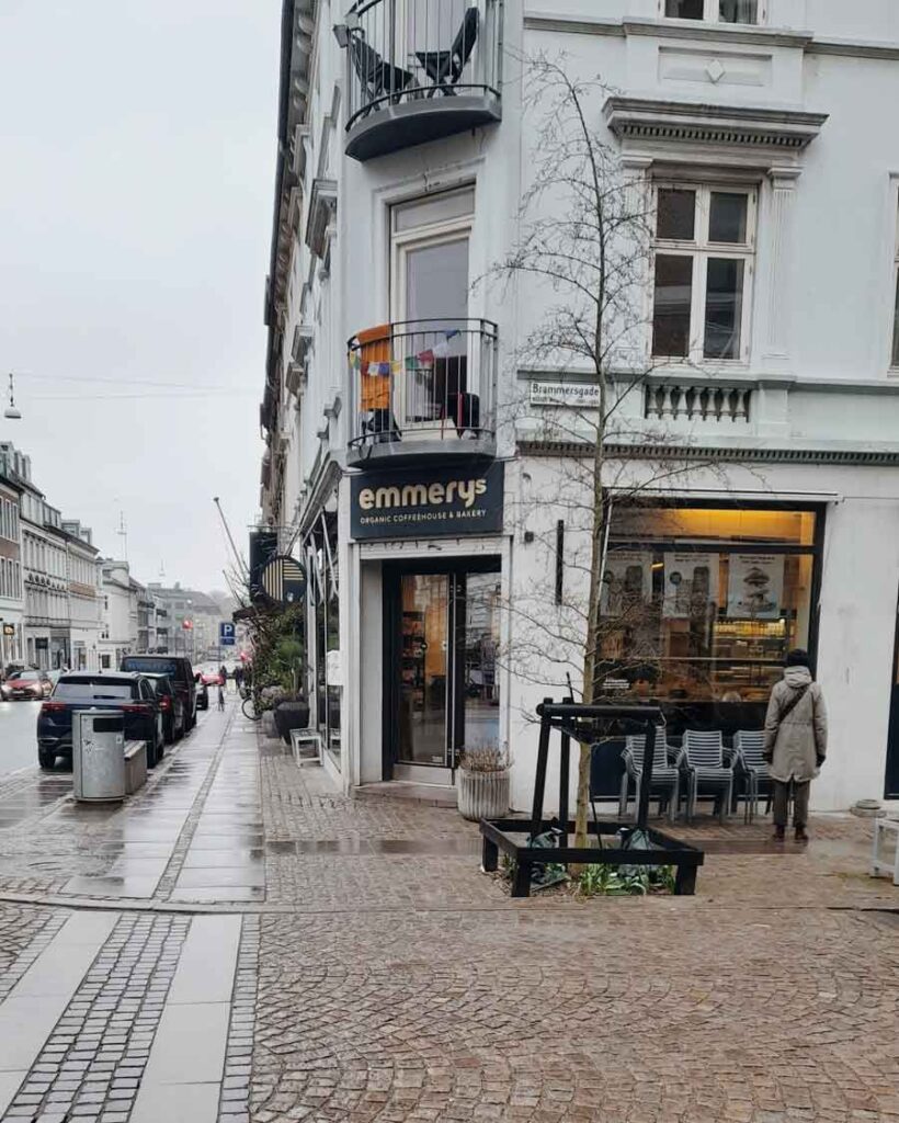 frederiksbjerg web