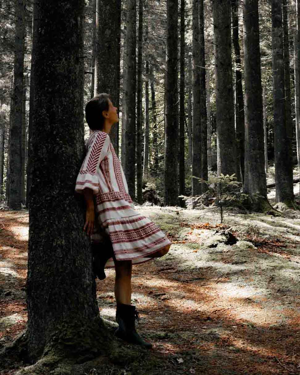 Warum du deine Komfortzone verlassen kannst und trotzdem nicht weiterkommst 2 Die Komfortzone verlassen - im Wald ruhe finden