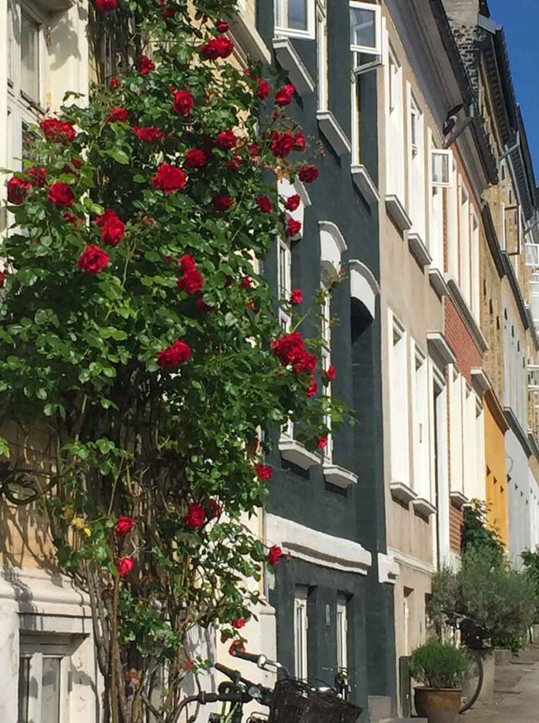 Die bunten Häuser der Øgaderne - eines der besten Stadtviertel in Aarhus