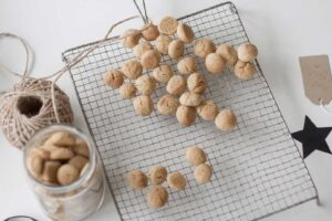 daenische pebernodder