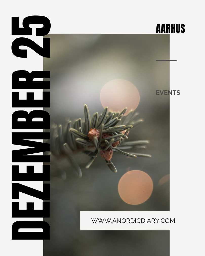 DIE BESTEN VERANSTALTUNGEN IN AARHUS DEZEMBER 2025 2 Aarhus Dezember 2025